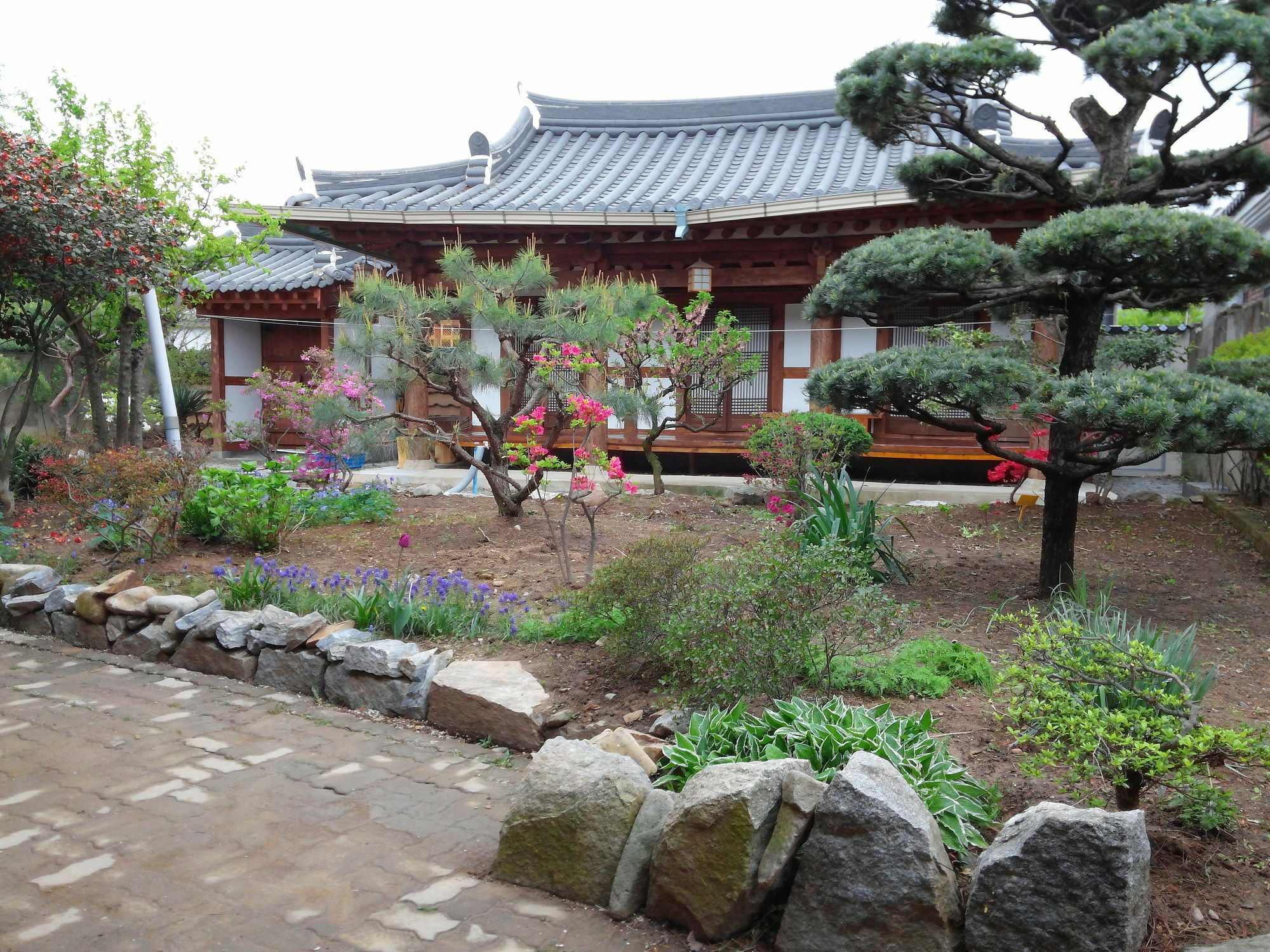 Sodamwon جيونجو المظهر الخارجي الصورة