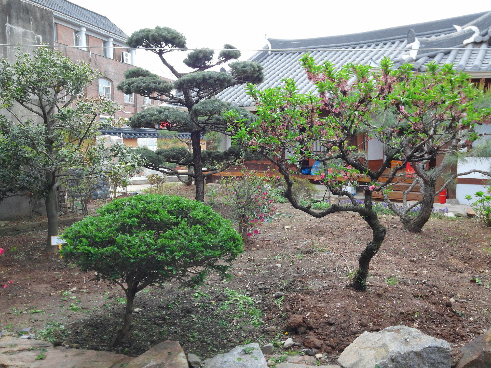 Sodamwon جيونجو المظهر الخارجي الصورة