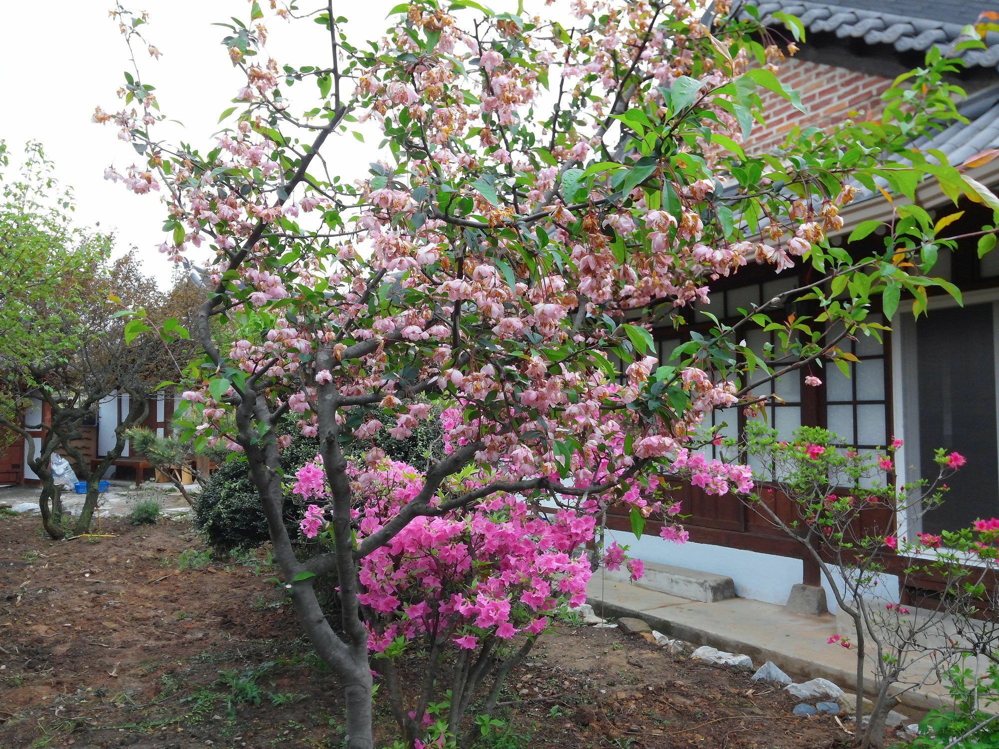 Sodamwon جيونجو المظهر الخارجي الصورة