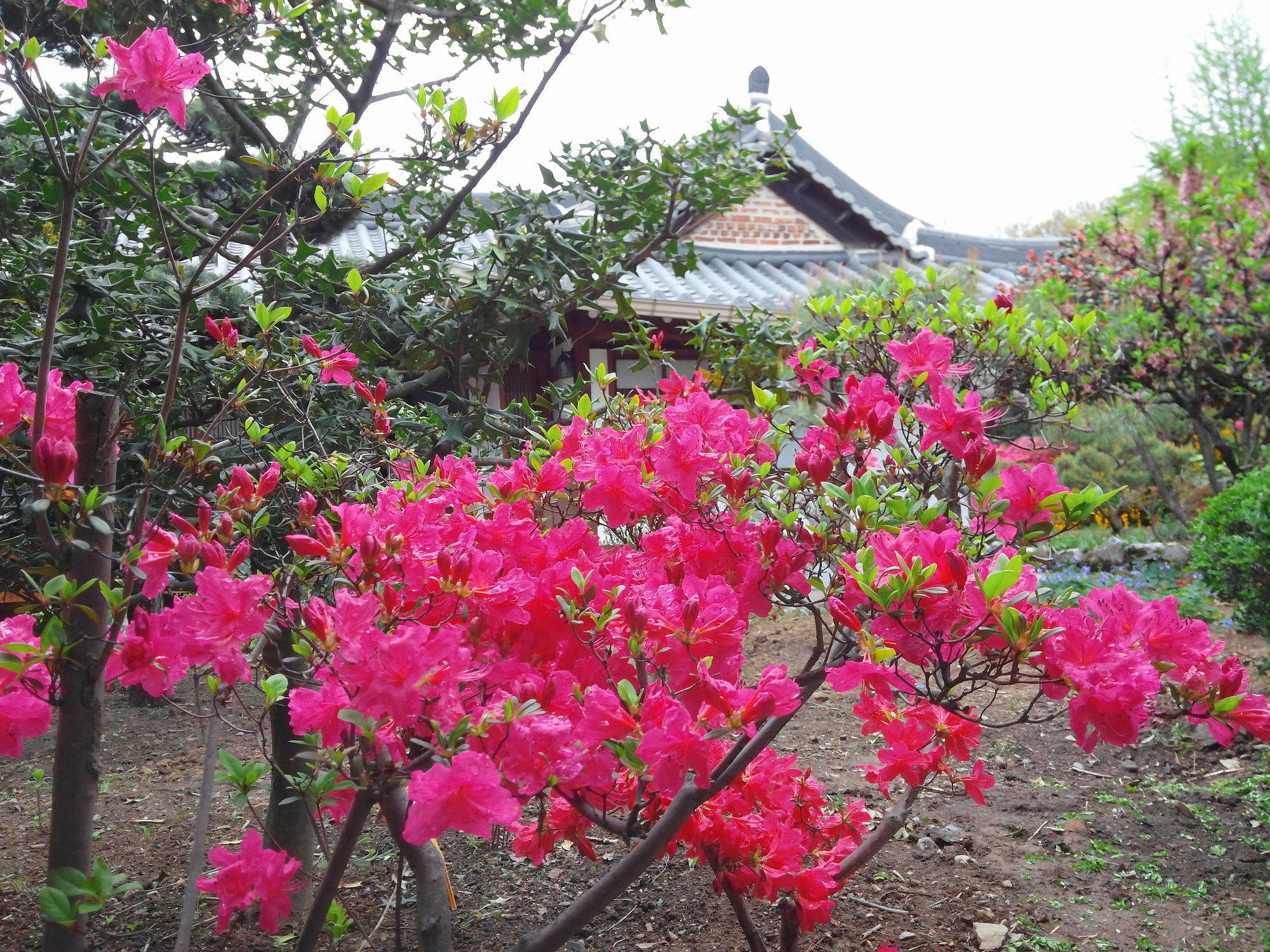 Sodamwon جيونجو المظهر الخارجي الصورة